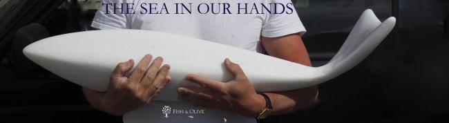 THE SEA IN OUR HANDS (2017)